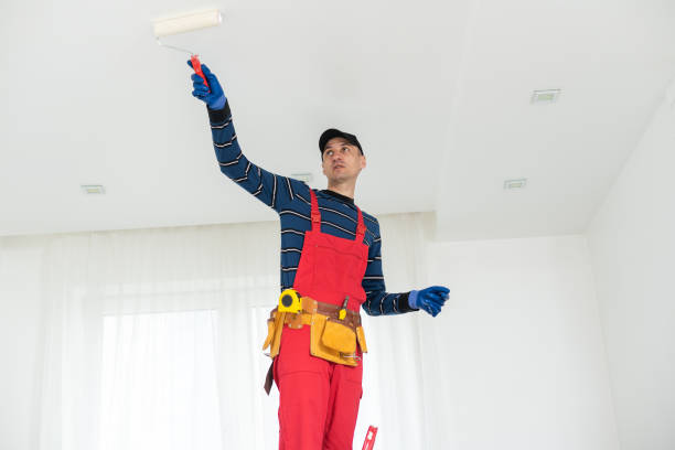 Best Ceiling Drywall Installation  in Banning, CA